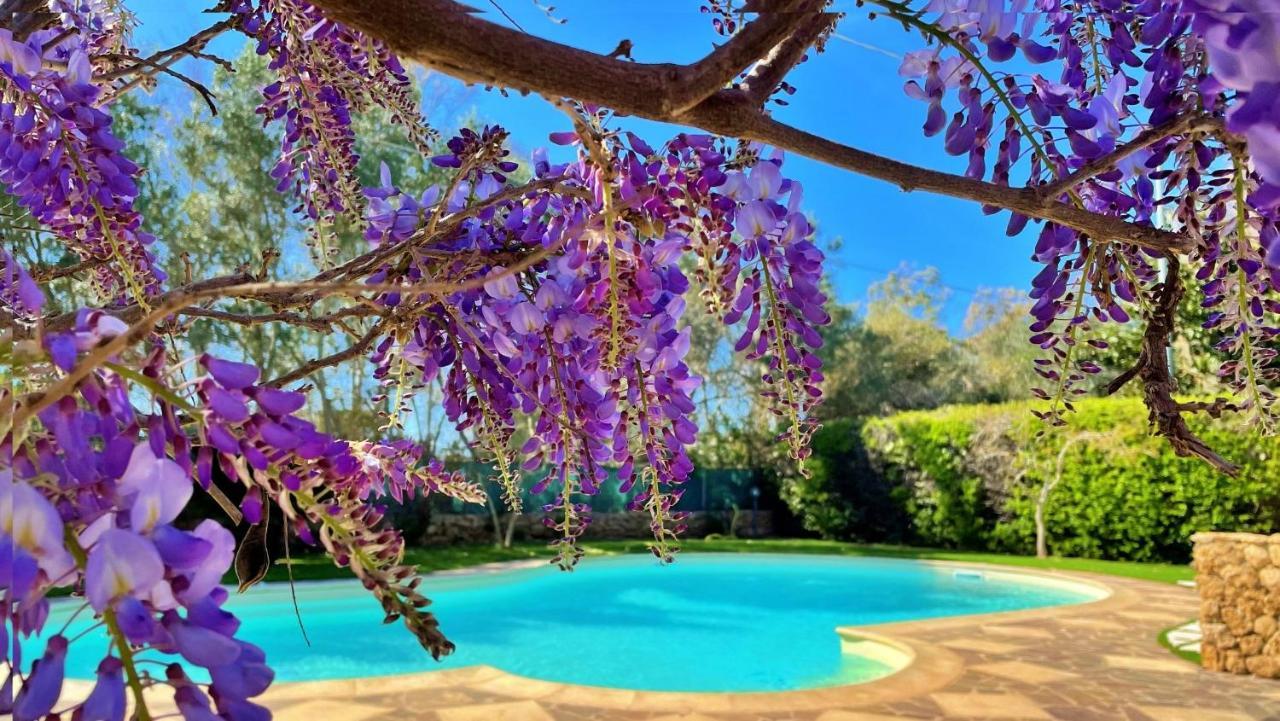 Agriturismo Sa Mandra Casa Minnina 外观 照片