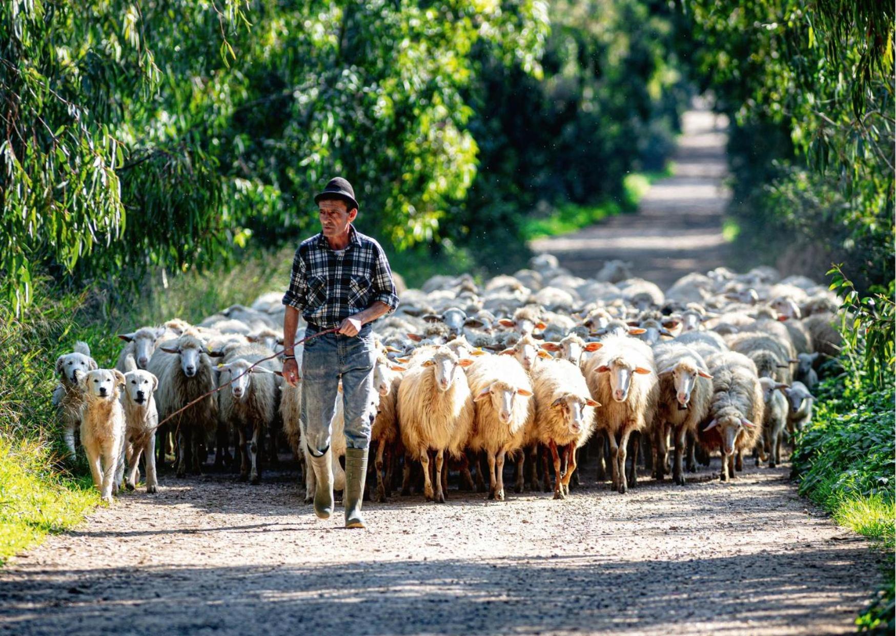 Agriturismo Sa Mandra Casa Minnina 外观 照片